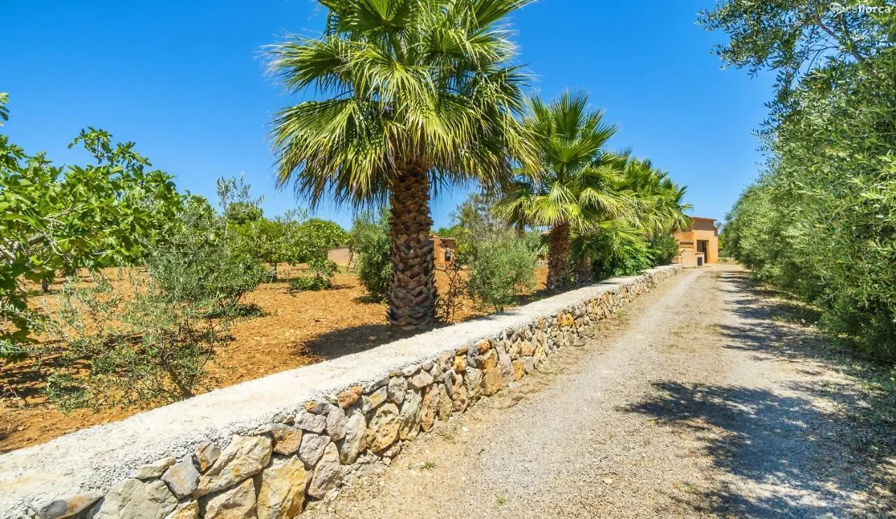 Villa Ses Cames Roges Capdepera  Ferienhaus Capdepera (Mallorca)